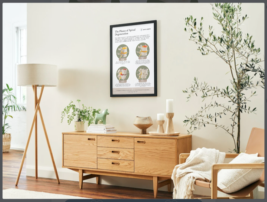 Phases of spinal degeneration Poster (Spinal Model)