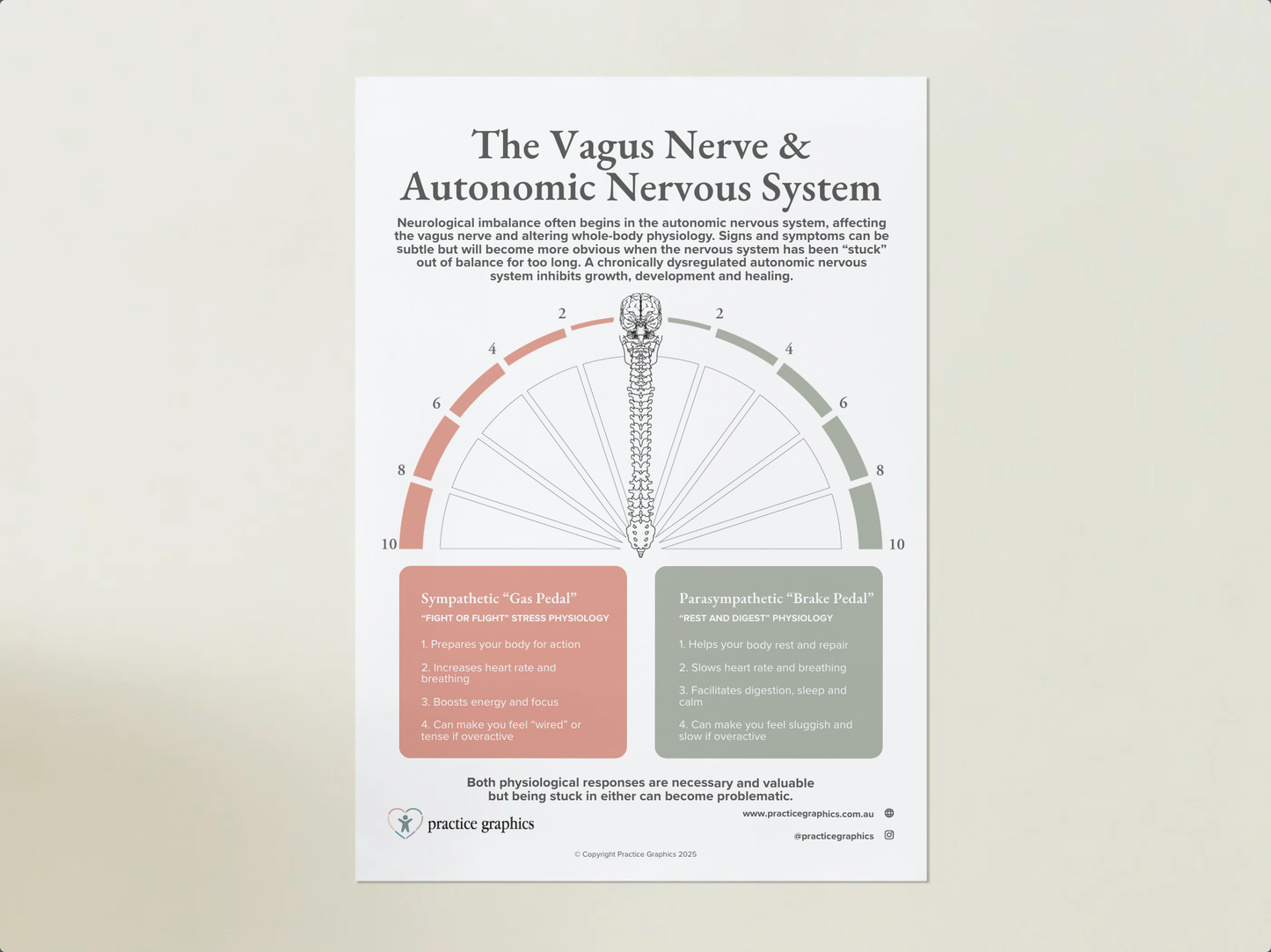 The Vagus Nerve & Autonomic Nervous System