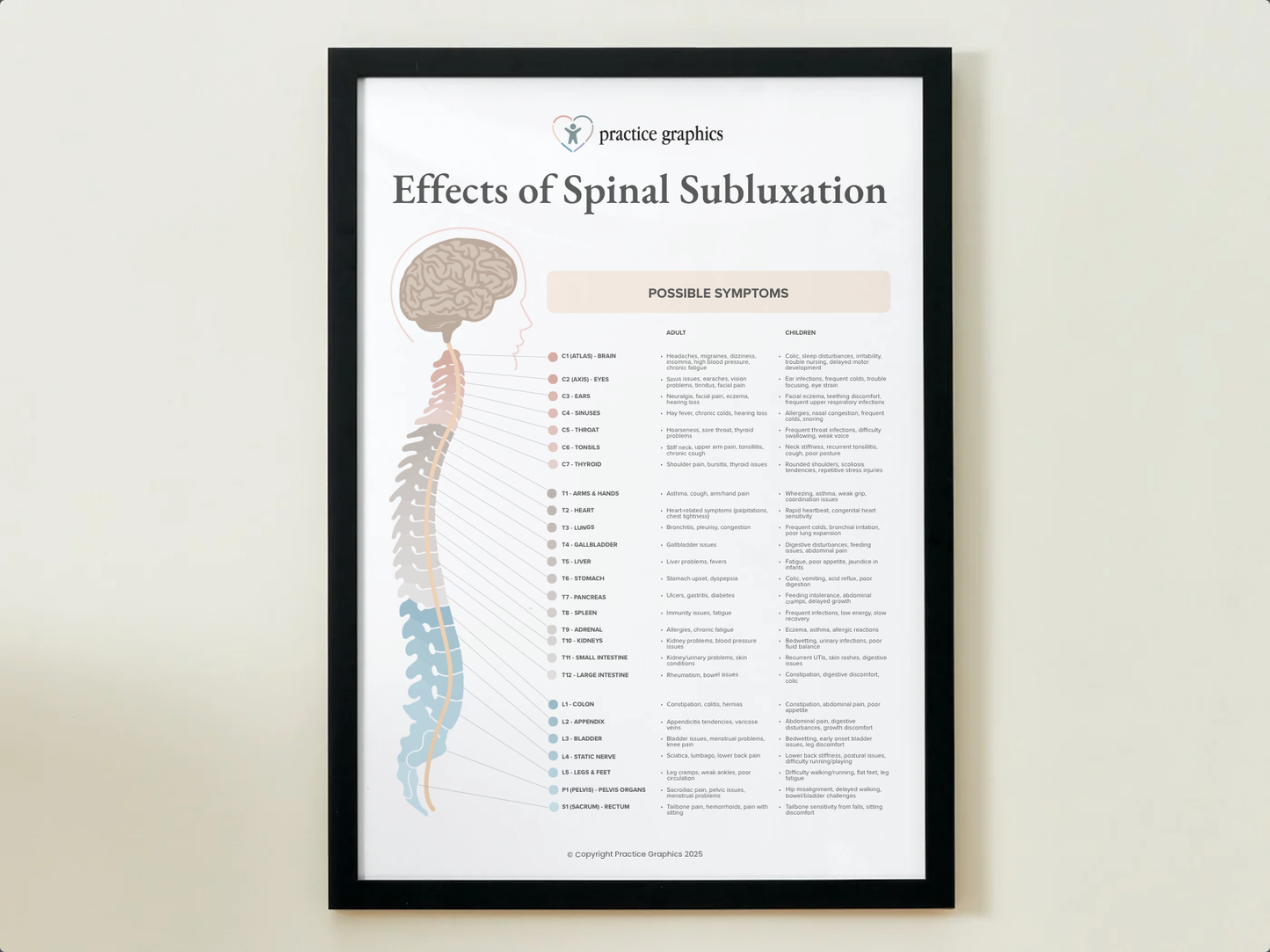 Effects of Spinal Subluxation Poster