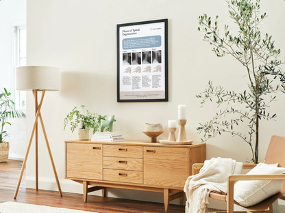 Phases of spinal degeneration Poster (xrays)