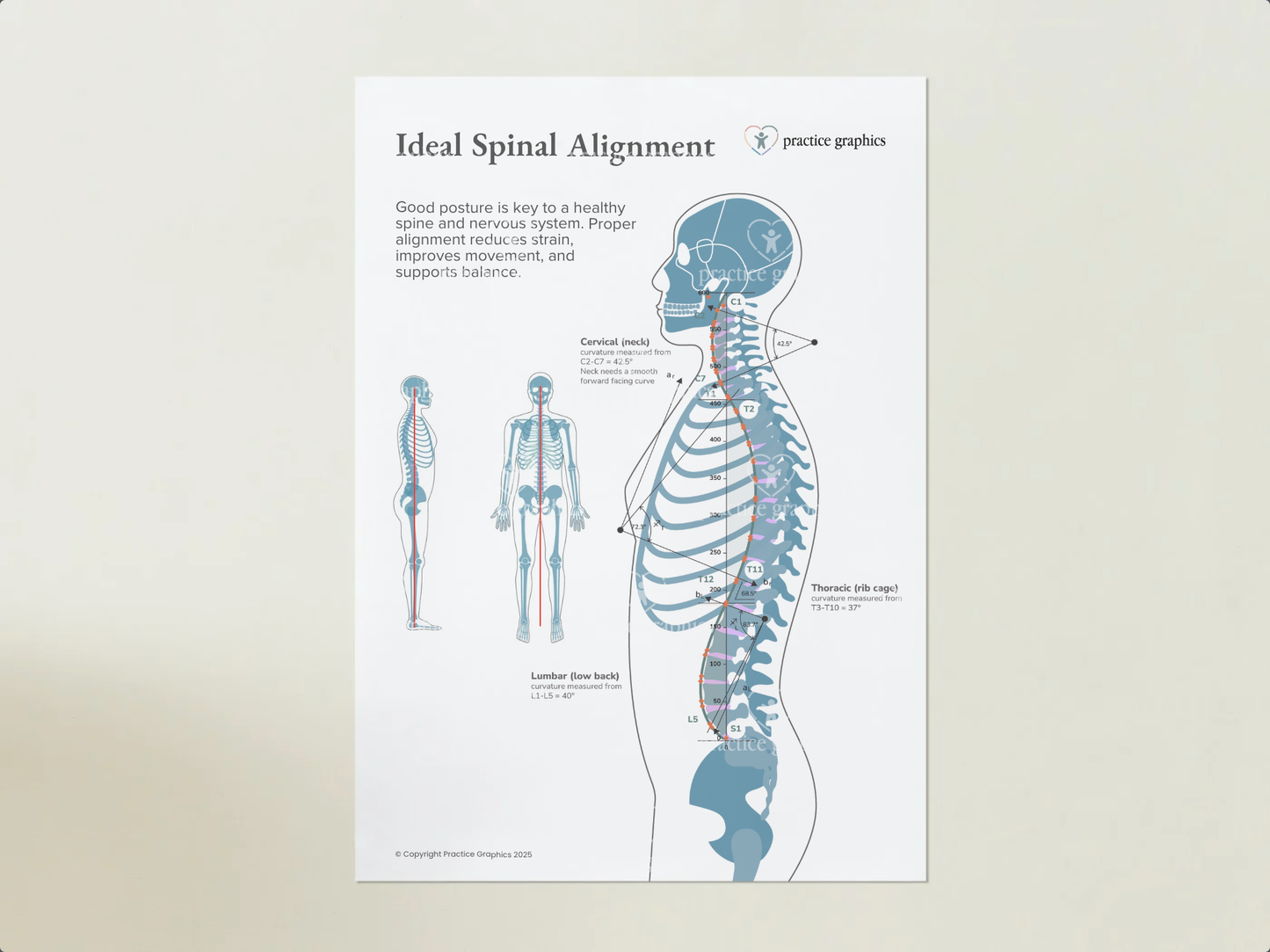 Ideal spinal alignment Posters