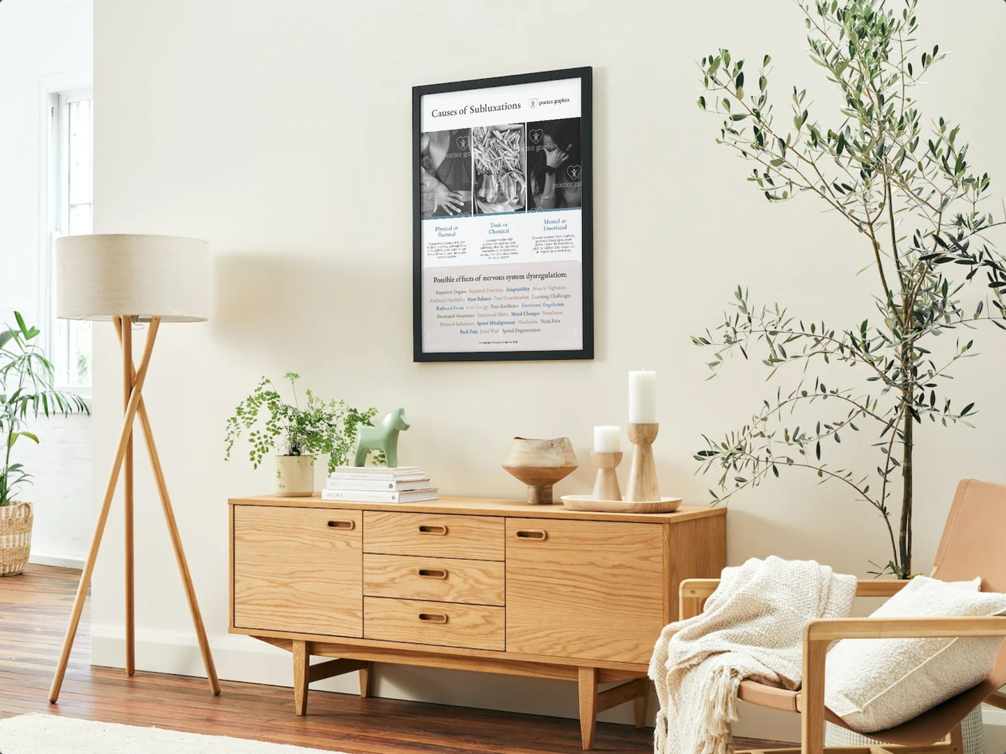 Causes of subluxation Poster