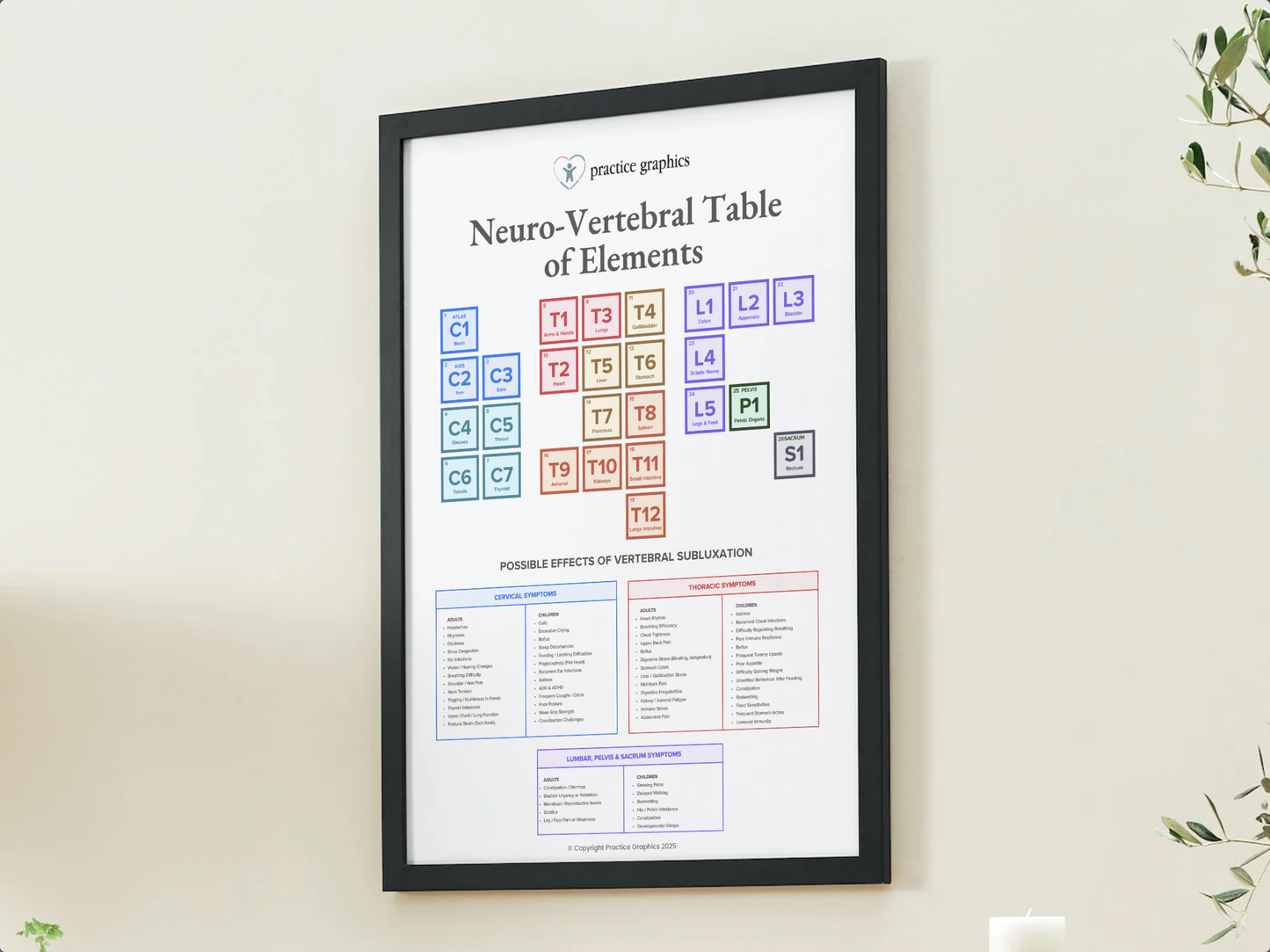 Neuro-Vertebral Table of Elements