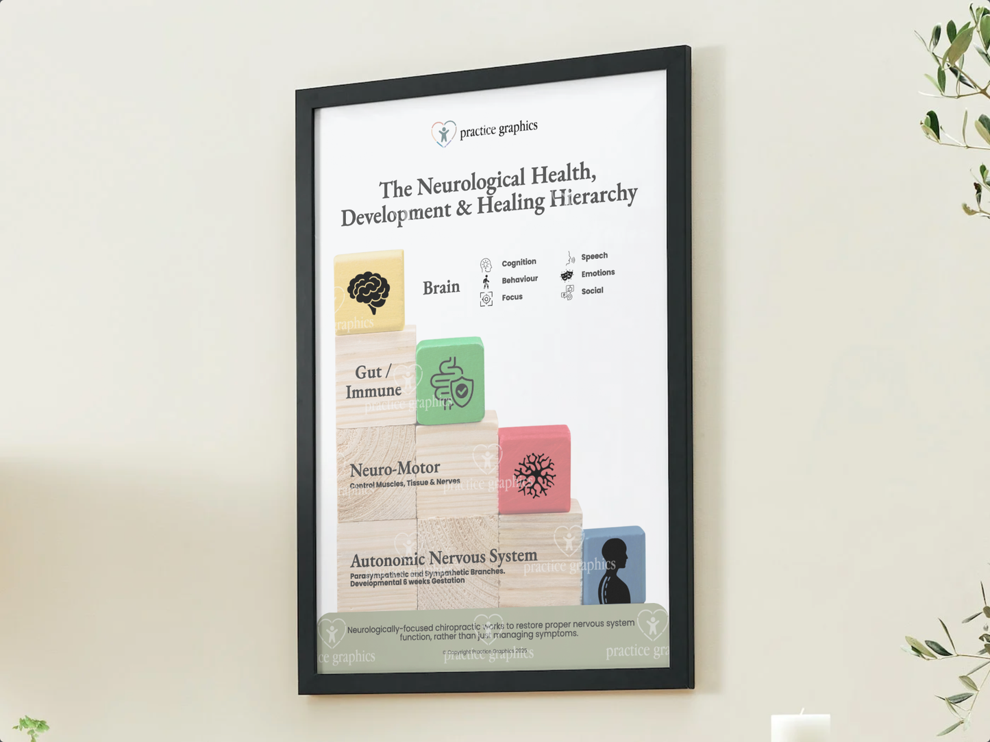 The Neurological Health, Development & Healing Hierarchy Poster