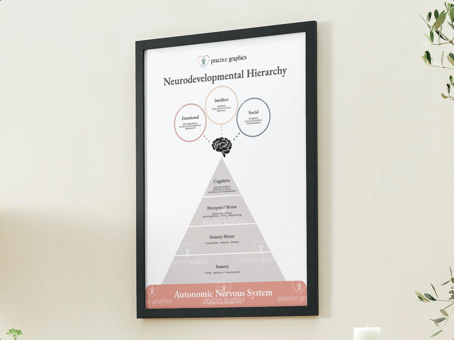 Neurodevelopmental Hierarchy