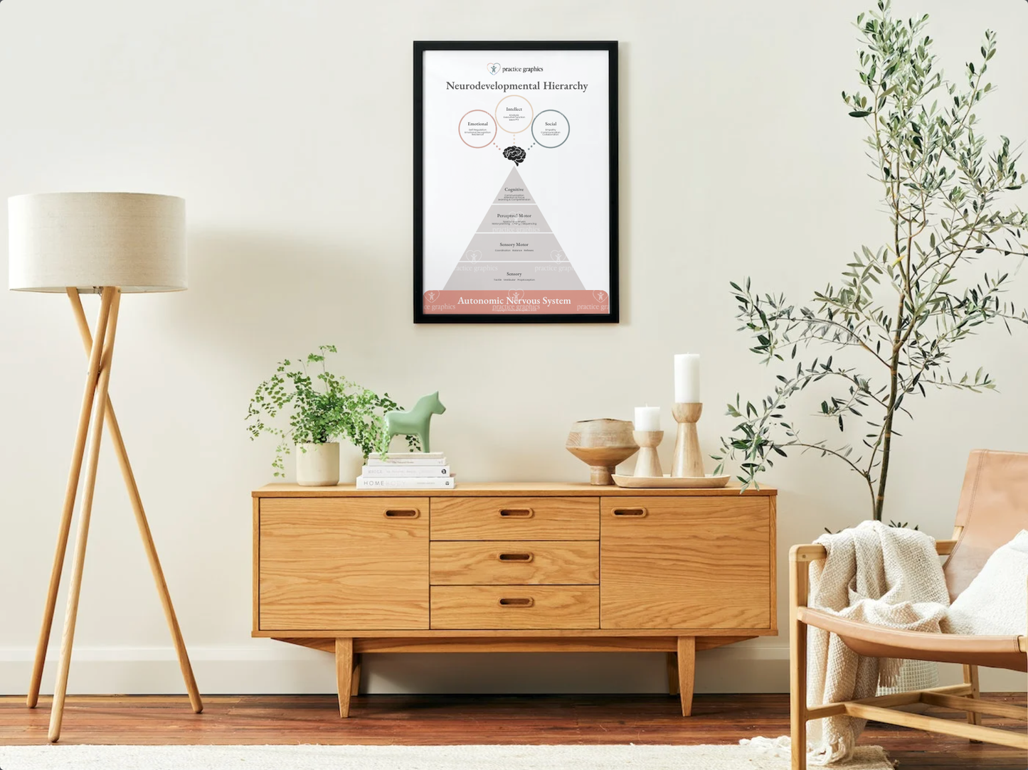 Neurodevelopmental Hierarchy