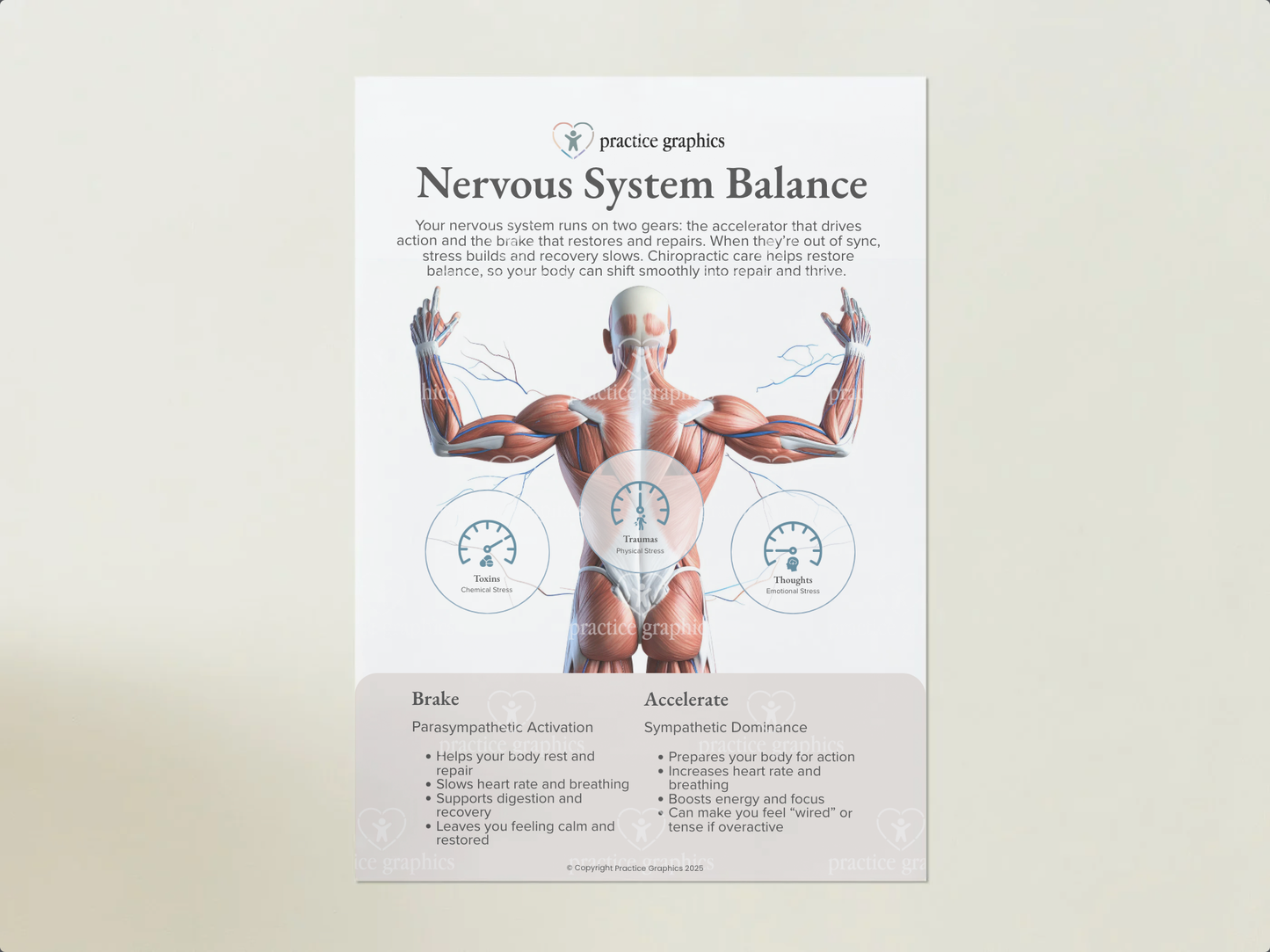 Accelerate vs Brake – Anatomical Poster