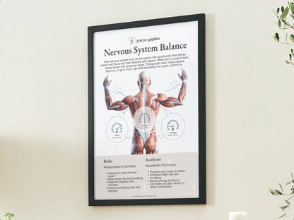 Accelerate vs Brake – Anatomical Poster