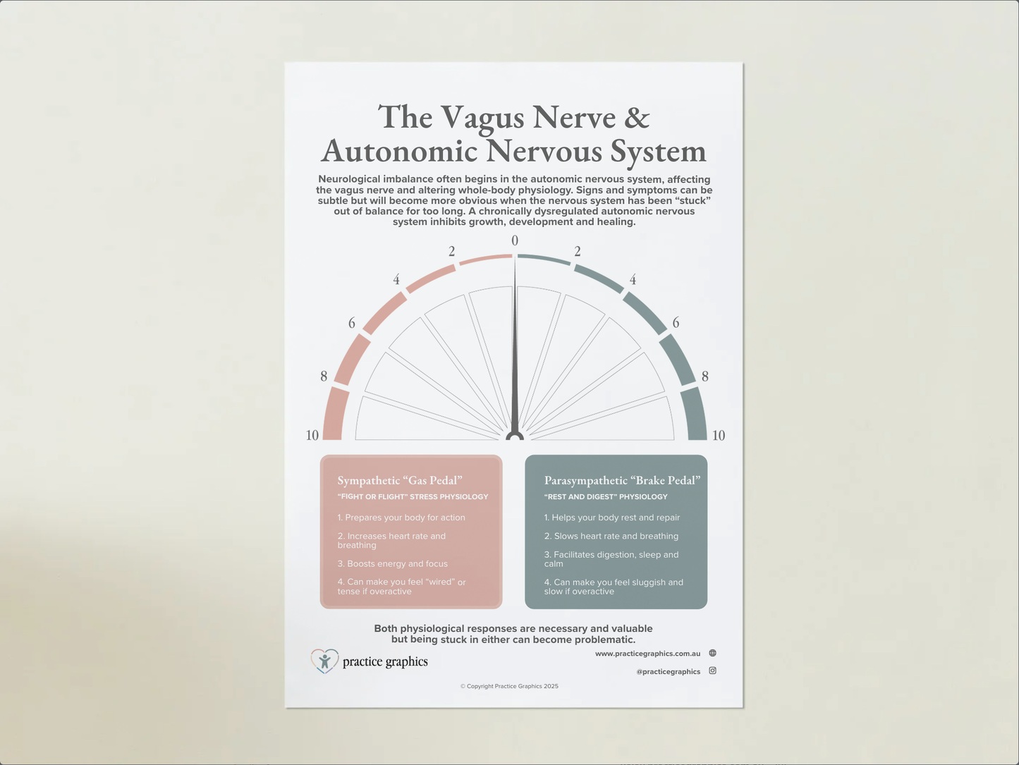 The Vagus Nerve & Autonomic Nervous System