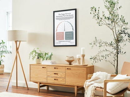 The Vagus Nerve & Autonomic Nervous System